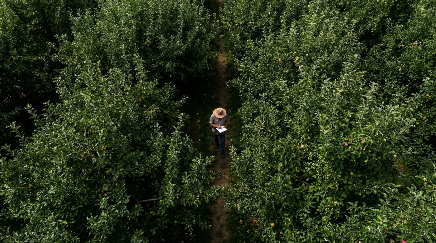 Manual scouting in the field